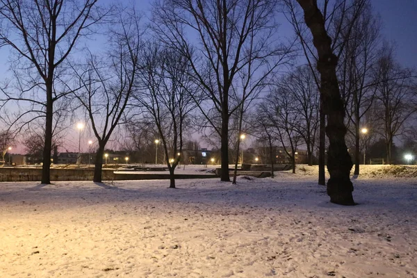 공원에서 겨울의 — 스톡 사진