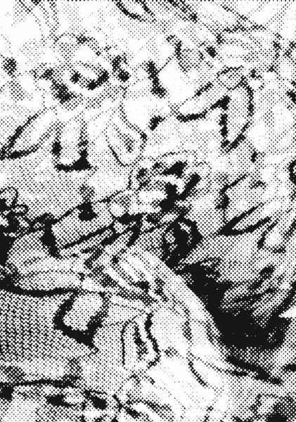 Тревожный Фон Черно Белой Текстуре Точками Пятнами Царапинами Линиями Абстрактная — стоковое фото
