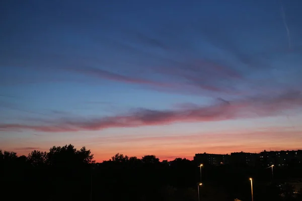 Sunset Silhouette Trees Buildings — Stockfoto