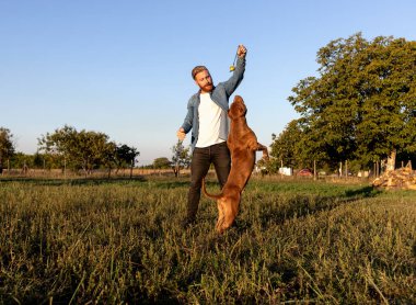 Köpeğiyle oynayan adam, zıplayan köpek konsepti, en iyi arkadaşlar, kırsal alanlarda insan köpek ilişkisi.