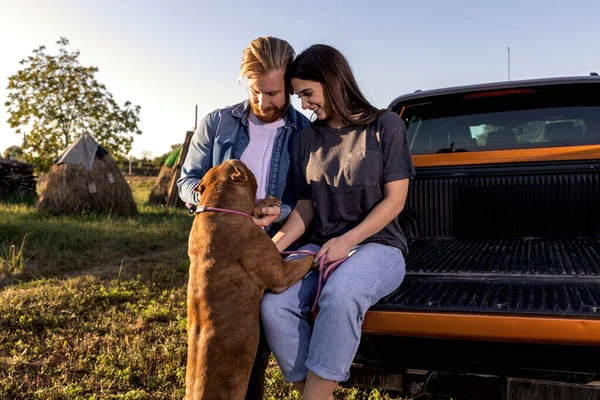 Pasangan Yang Mencintai Menghabiskan Waktu Bersama Sama Dengan Anjing Pengganggu — Stok Foto