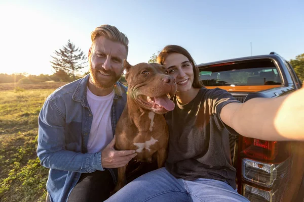Kamyonetlerinin Arkasında Oturan Çift Amerikalı Zorba Köpek Arkadaşlarıyla Birlikte Kırsalda — Stok fotoğraf
