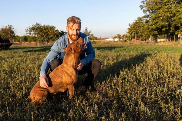 Mensch Und Hund Verbringen Zeit Auf Dem Offenen Feld Und lizenzfreie Stockfotos