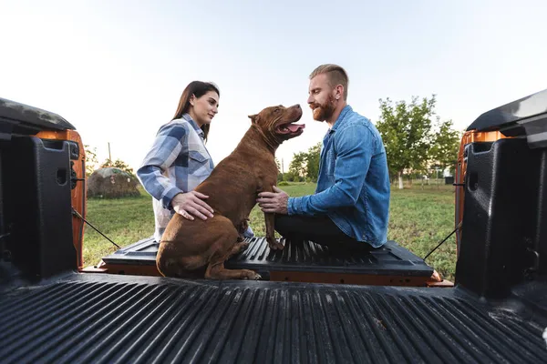 Pasangan Duduk Belakang Truk Pickup Mereka Disertai Dengan Teman Anjing — Stok Foto
