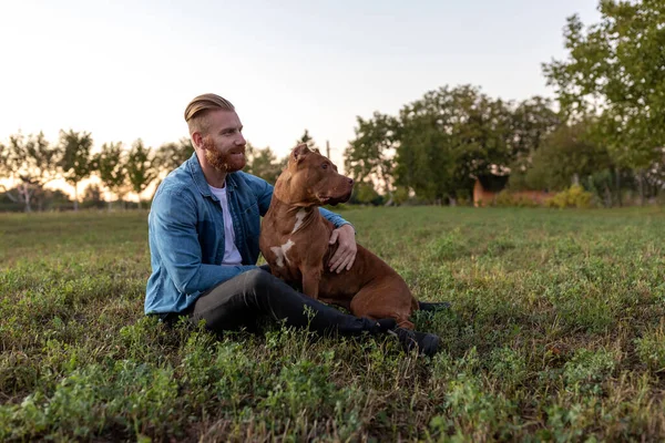 Amerikan Zorba Köpeği Insan Yoldaşı Güzel Bir Günde Kırsalda Birlikte — Stok fotoğraf
