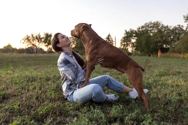 Güzel Kız Amerikalı Zorba Köpeğiyle Kırsal Alanda Eğleniyor — Stok fotoğraf