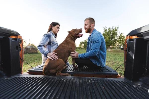 情侣们和他们的美国欺负狗的朋友坐在皮卡的后座上 享受着乡村美好的一天 信任的概念 免版税图库图片