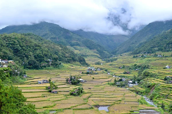 Filippine, terrazze di riso nella valle Hapao, Banaue — Foto Stock