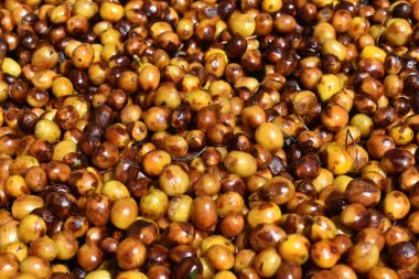 Taze kahve dutları, kurutma sahnesi, detaylı kahve çekirdekleri, arka plan.