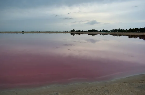 Laguna rosa con tramonto, Las Coloradas, Yucatan, Messico — Foto Stock