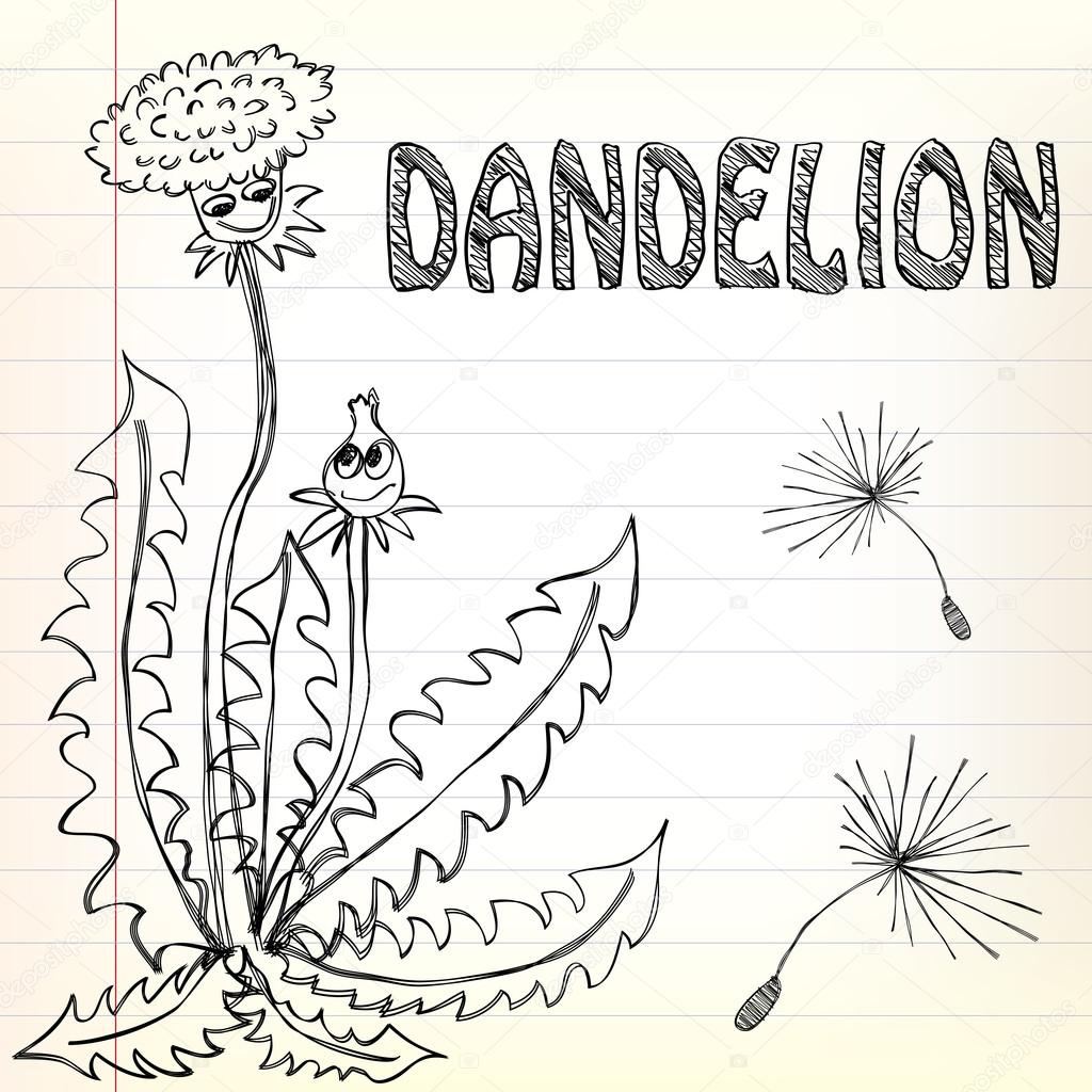 Dandelion doodle