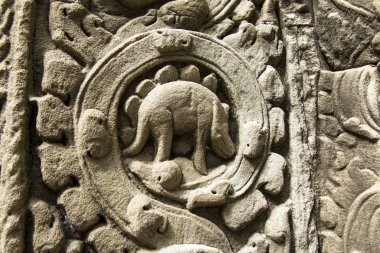 dinozor kısma angkor içinde