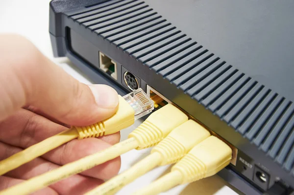 Connect the cable to the network switch — Stock Photo, Image