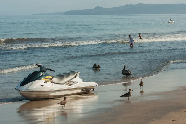 plaj yelkenlilisanslı