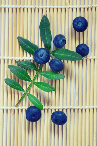 Spilled blueberry — Stock Photo, Image