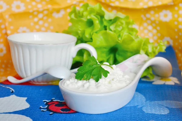 Fresh cottage cheese and milk — Stock Photo, Image