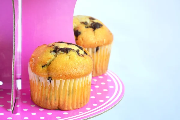 Muffins com chocolate no carrinho — Fotografia de Stock