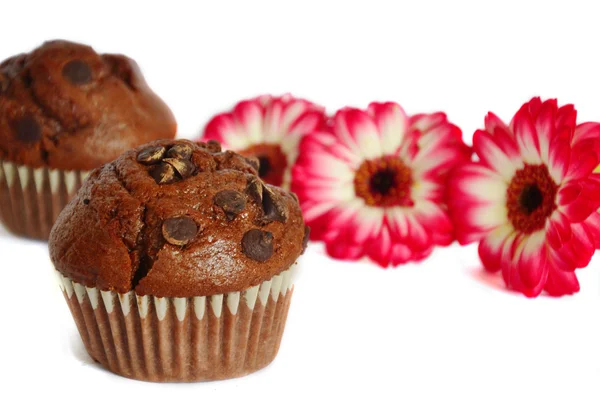 Chocolate muffin and flowers — Stock Photo, Image