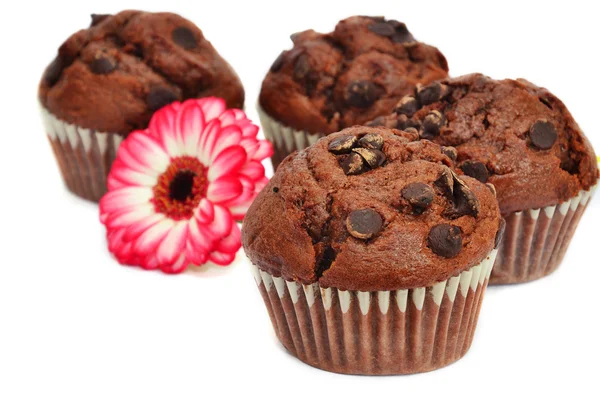 Four chocolate muffins and flower — Stock Photo, Image