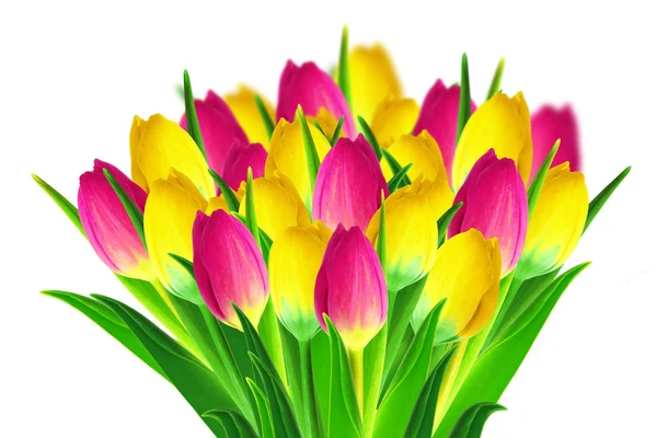 Tulpen boeket — Stockfoto