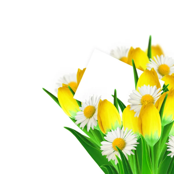 Buquê de margaridas e tulipas, papel branco — Fotografia de Stock