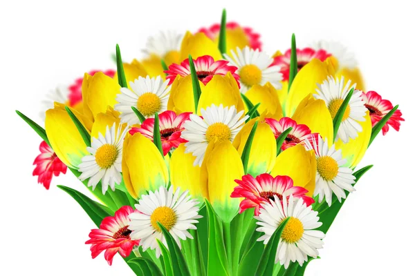 Bouquet of daisies, tulips and gerbers — Stock Photo, Image
