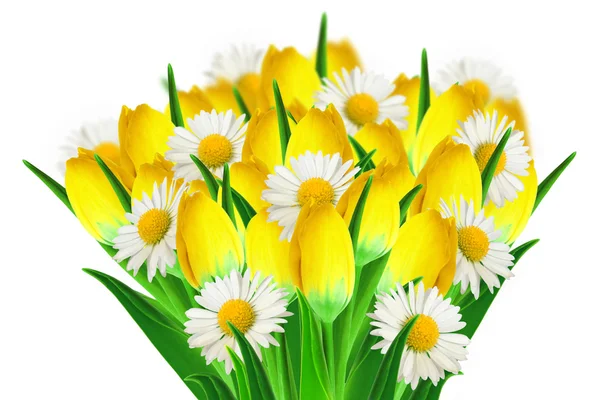 Bouquet of daisies and tulips — Stock Photo, Image
