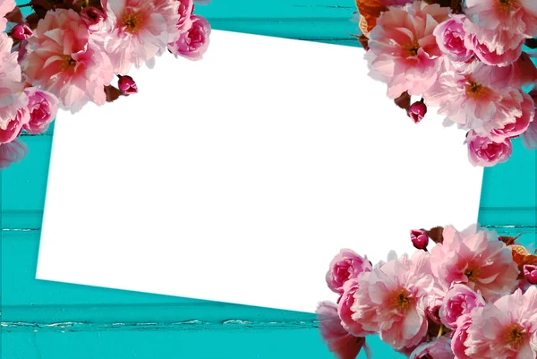 Sakura, paper and wooden background frame — Stock Photo, Image
