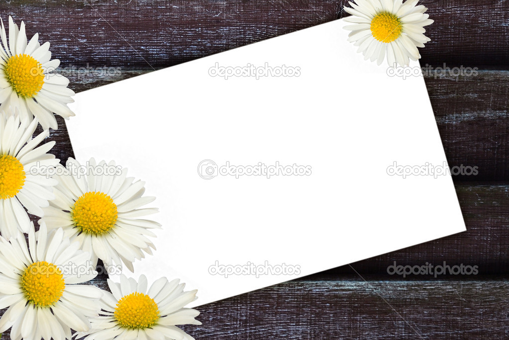 Frame with daisies on the wooden background