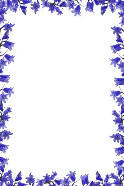 Blue flowers frame — 图库照片