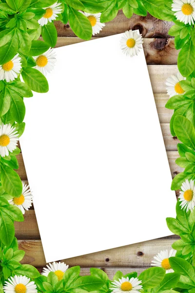Рамка: ромашки на деревянном фоне и белая бумага — стоковое фото