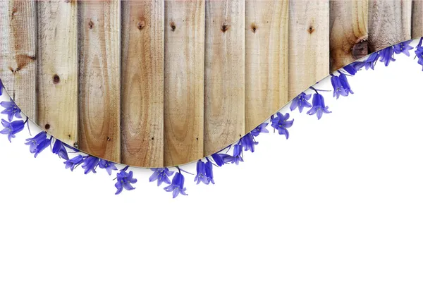 Wooden planks and blue flowers border — Stock Photo, Image