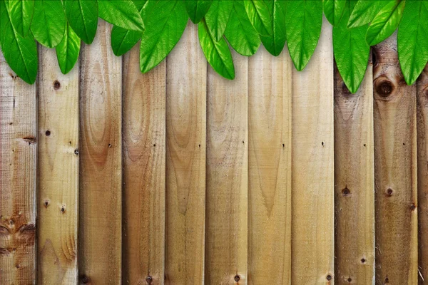 Green leaves on the wooden planks texture — Stock Photo, Image