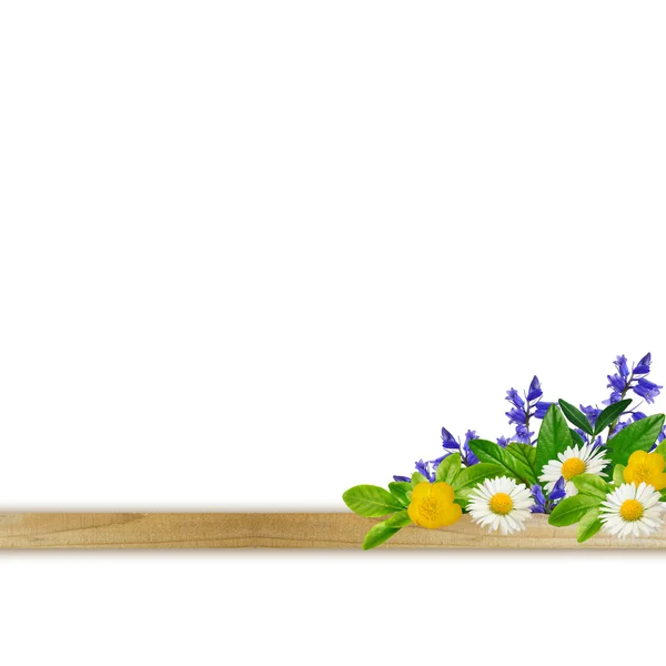 Plank with different colorful flowers and leaves — Stock Photo, Image