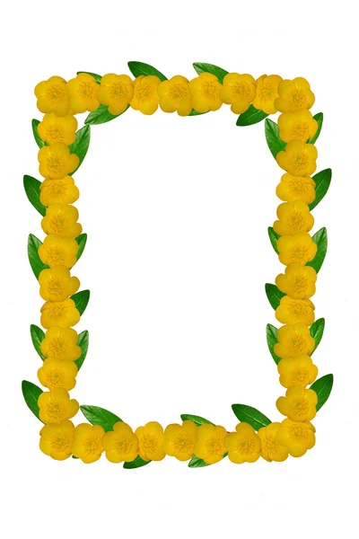 Yellow flowers and green leaves frame — Stock Photo, Image