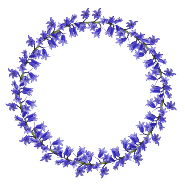 Circle frame of blue wild flowers — Stock Photo, Image