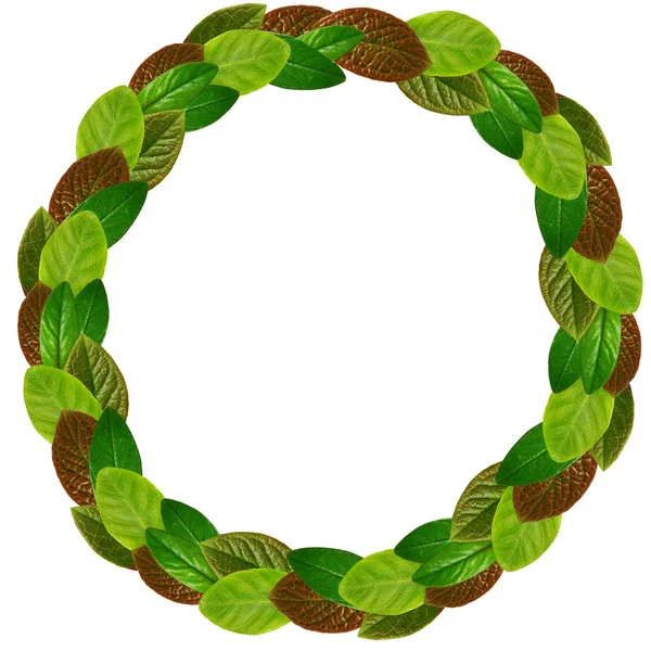 Circle frame of of green leaves — Stock Photo, Image