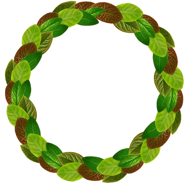Кругла рамка зеленого листя — стокове фото