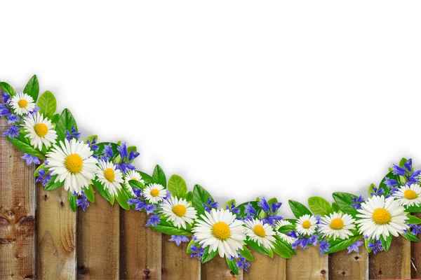 Planches en bois bordure avec des fleurs sauvages — Photo