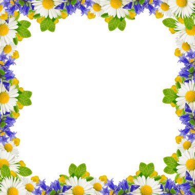 çerçeve kır çiçekleri ve yeşil yaprakları