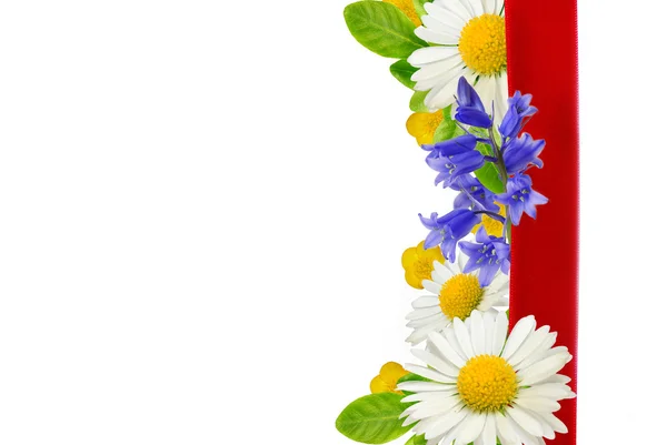 Grens van wilde bloemen en rood lint — Stockfoto