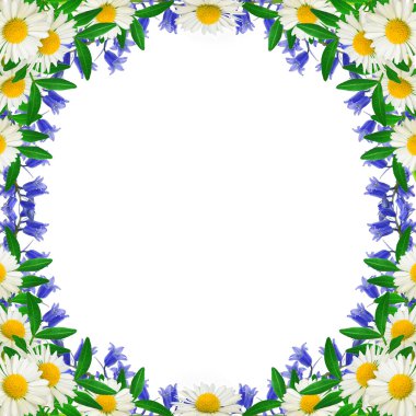 yabani çiçekler çerçevesi