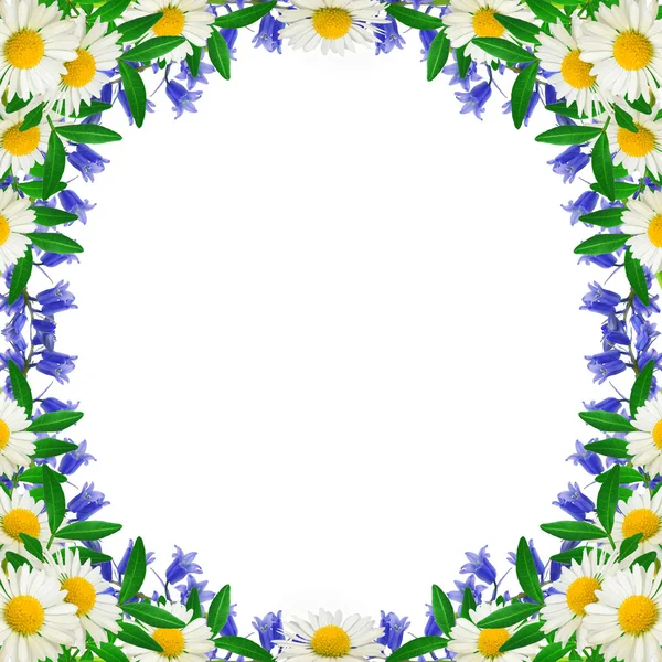 Рамка из цветов — стоковое фото