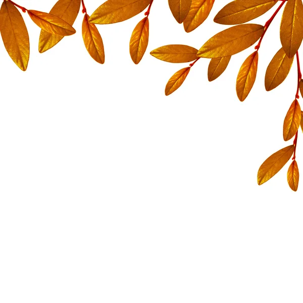 Gold leaves — Stock Photo, Image