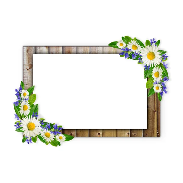 Wooden frame with wild flowers — Stock Photo, Image