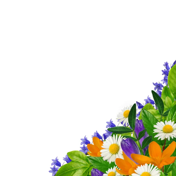Blommor bukett — Stockfoto