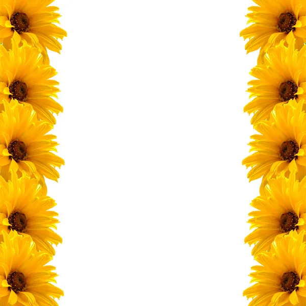 Frame of yellow flowers — Stock Photo, Image