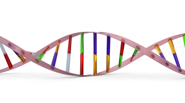 3D ДНК... Деоксирибонуклеїнова кислота — стокове фото