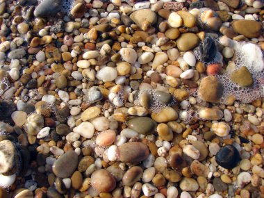 düşük tide kumlu alt ortaya çıkarır.