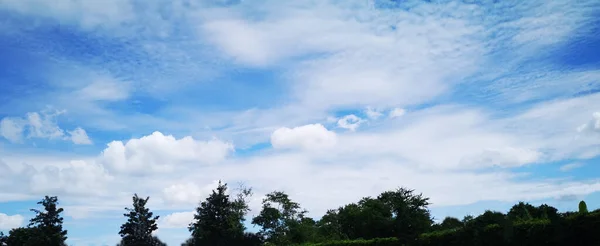 青い空の木の茂み自然背景白い雲 — ストック写真
